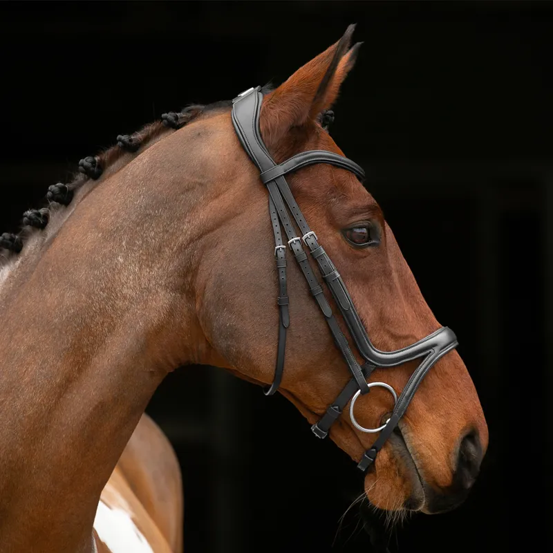 Shires Velociti Lusso Comfort Flash Bridle - Black